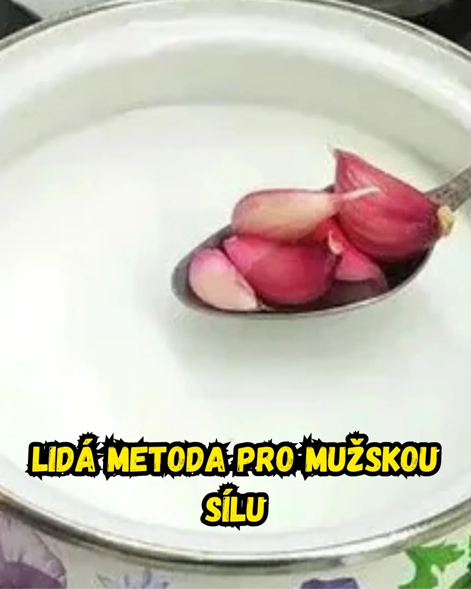 Vědecké pozadí energetických změn v životě muže