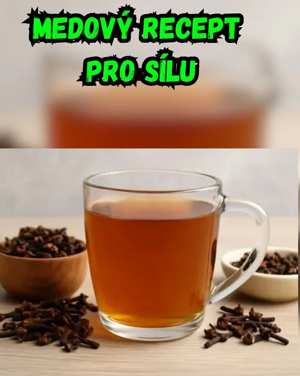 Zdraví a wellness